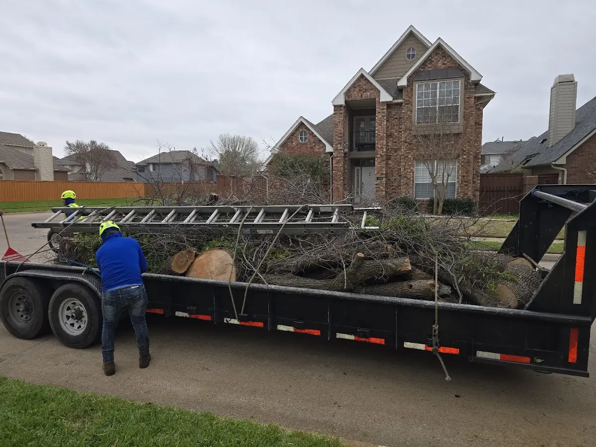 Expert Tree Removal with proper safety equipment in Morrisonville